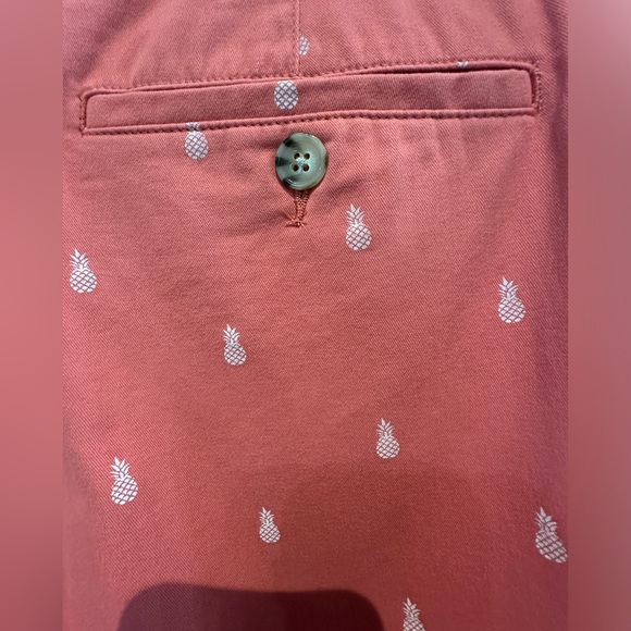 NWT Men’s Boca Classics 100% Brushed Cotton Flat-Front Pineapple Shorts - Picture 5 of 8